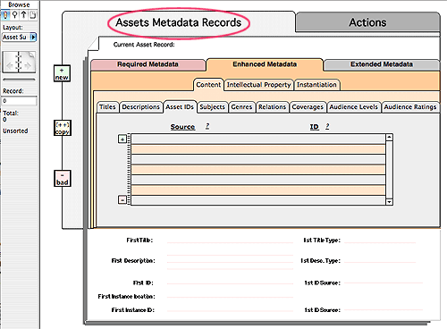 Assets Metadata Records